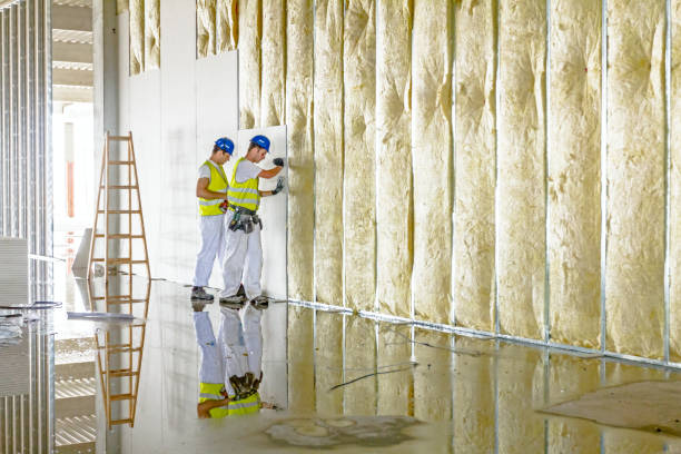 Best Spray Foam Insulation in Schnecksville, PA